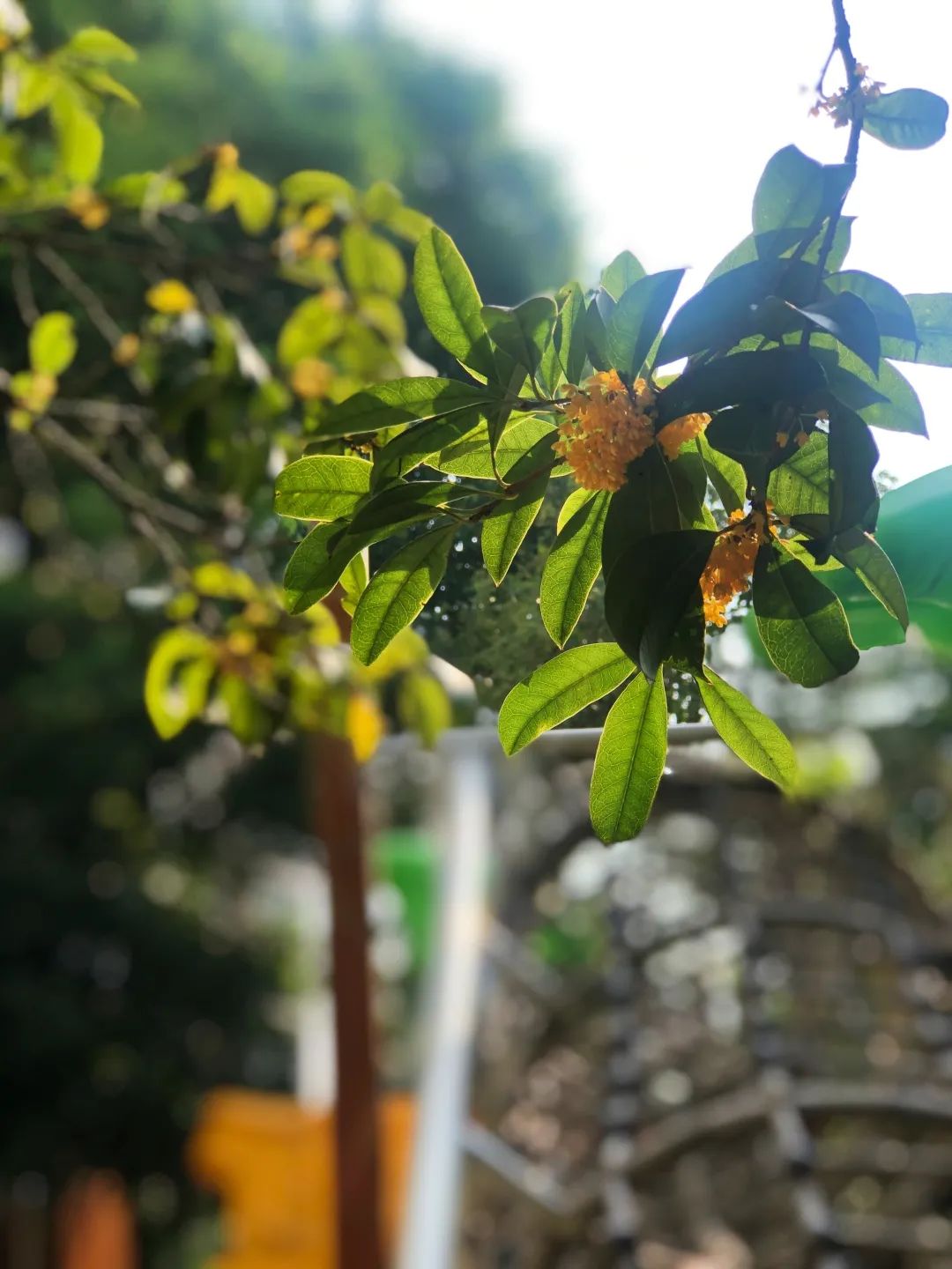 滨江多思创新学校,滨江学校全部排名