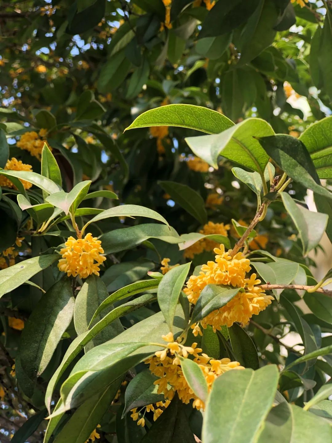 滨江多思创新学校,滨江学校全部排名