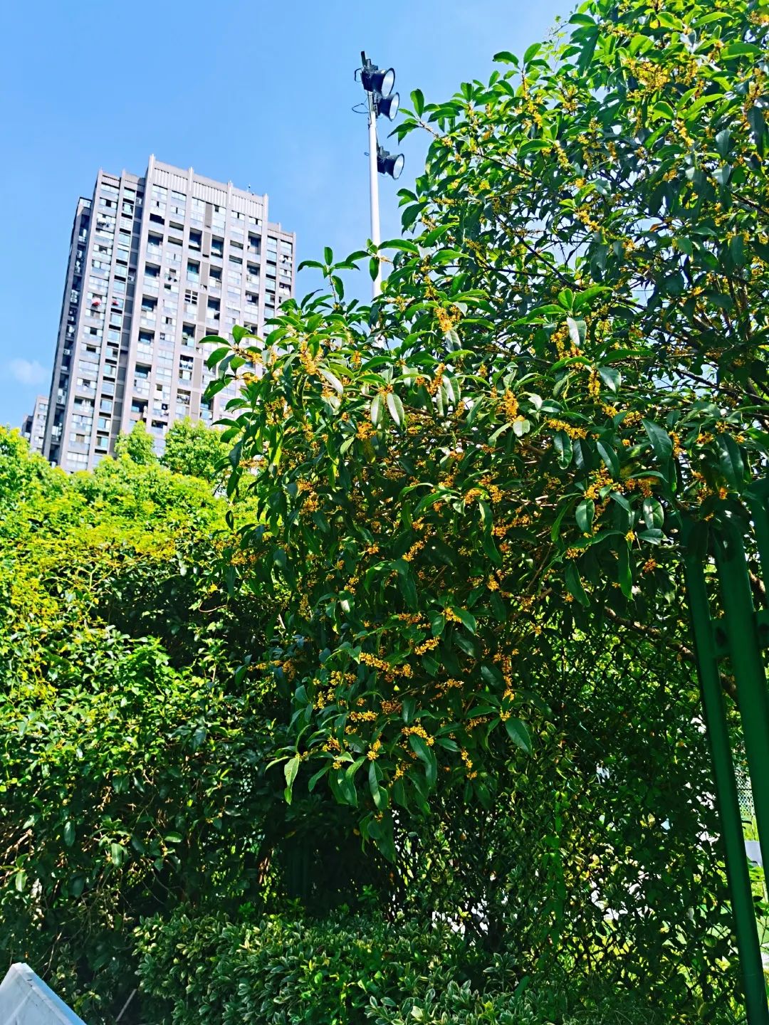 滨江多思创新学校,滨江学校全部排名