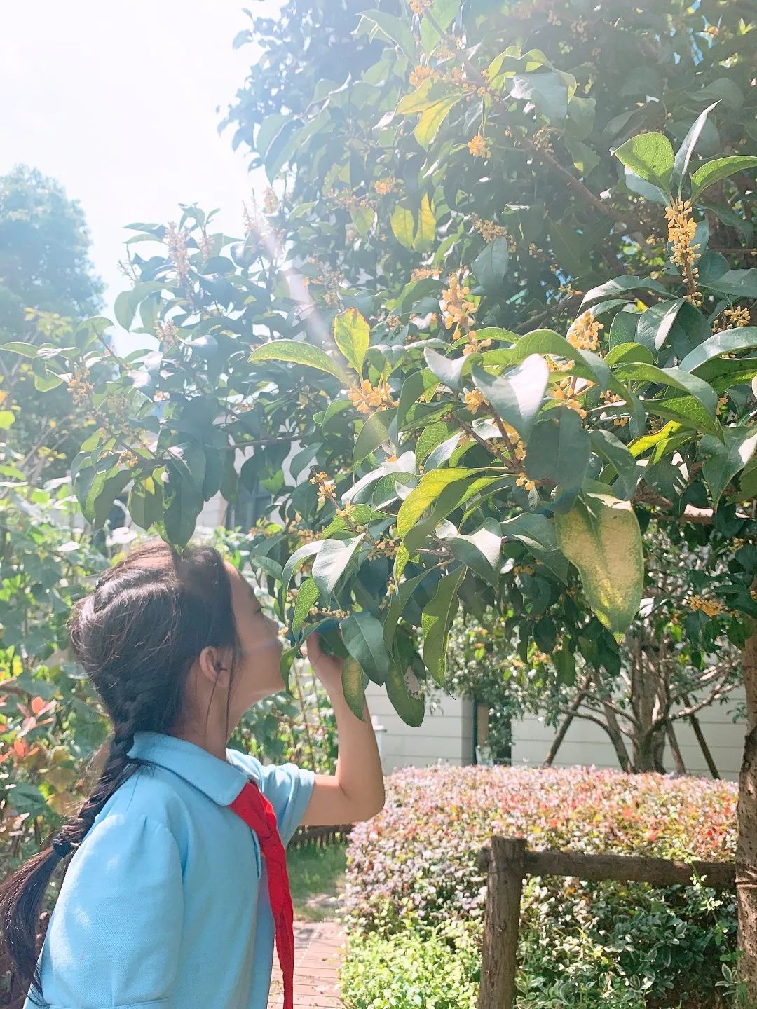 滨江多思创新学校,滨江学校全部排名