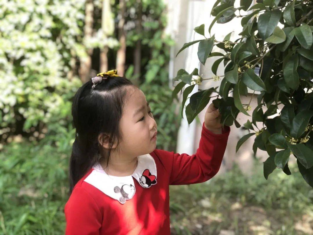 滨江多思创新学校,滨江学校全部排名