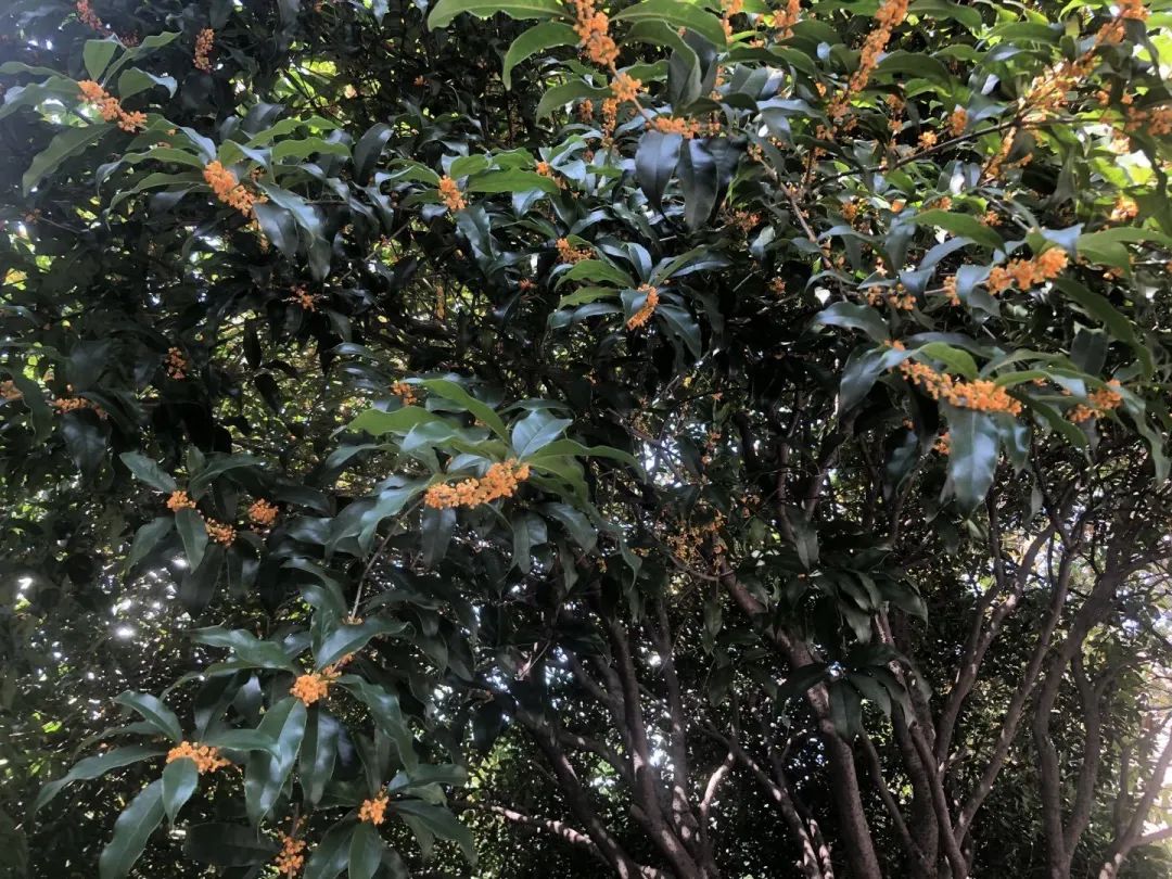 滨江多思创新学校,滨江学校全部排名