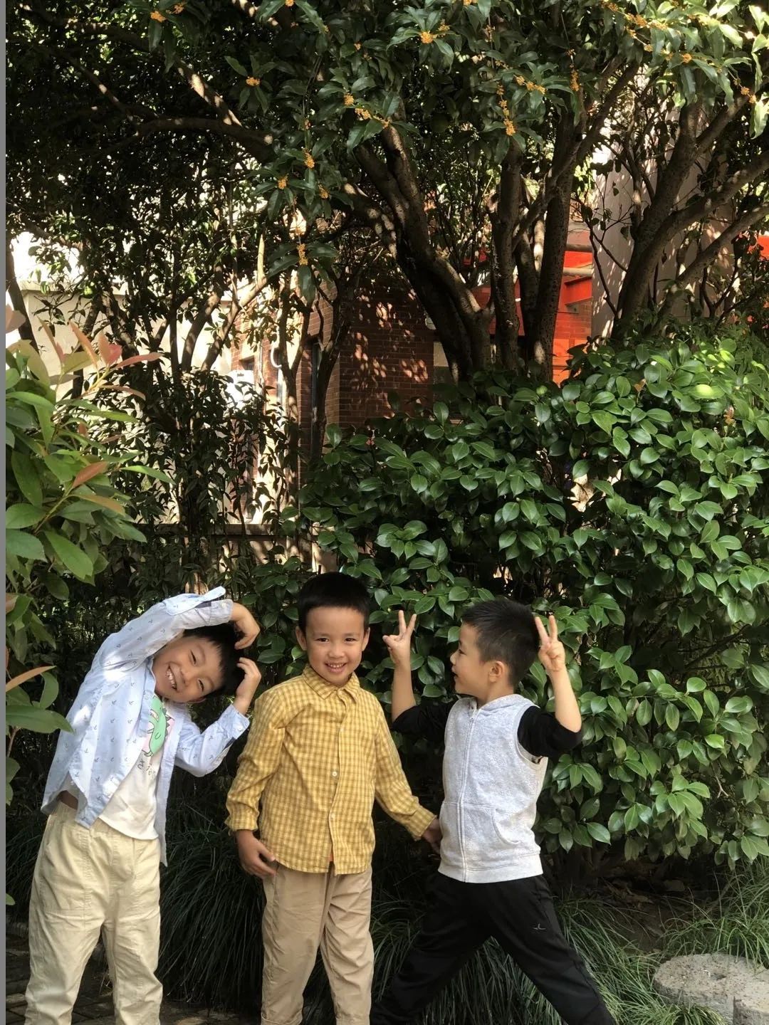 滨江多思创新学校,滨江学校全部排名