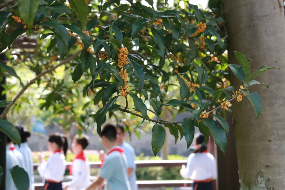 滨江多思创新学校,滨江学校全部排名