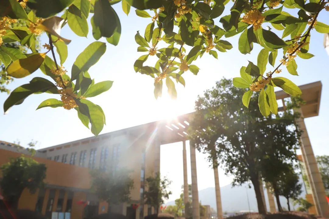 滨江多思创新学校,滨江学校全部排名