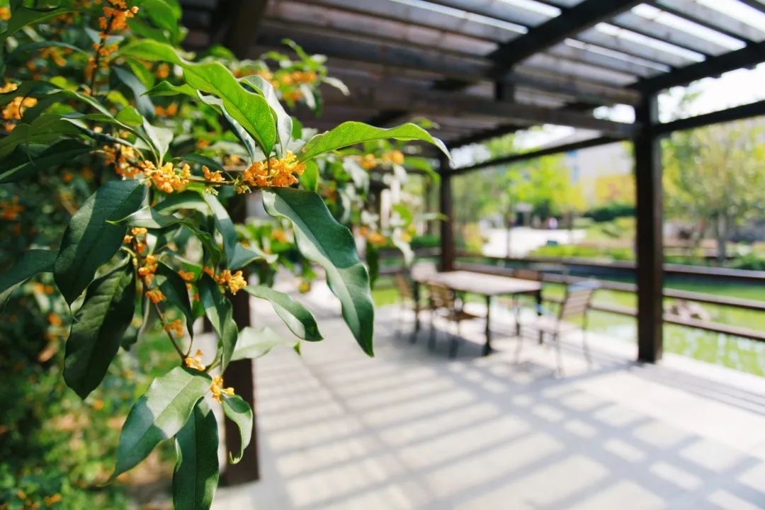 滨江多思创新学校,滨江学校全部排名