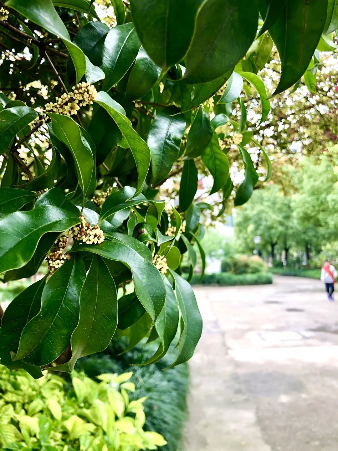 滨江多思创新学校,滨江学校全部排名