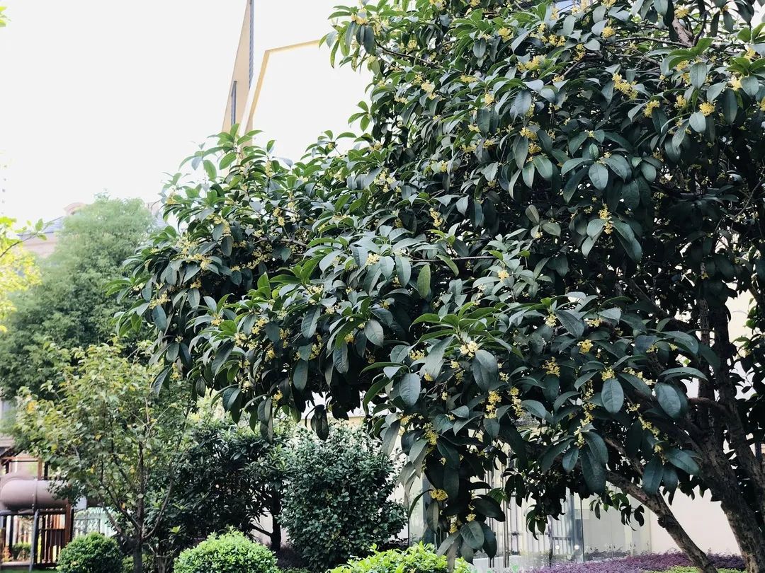 滨江多思创新学校,滨江学校全部排名