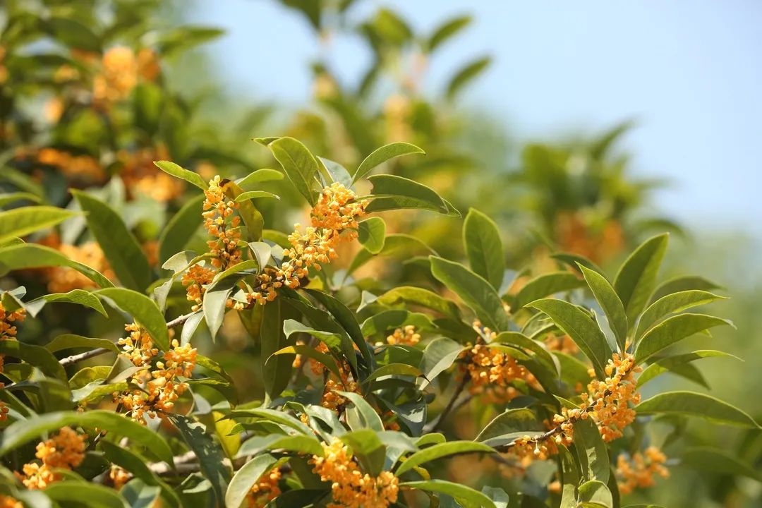 滨江多思创新学校,滨江学校全部排名