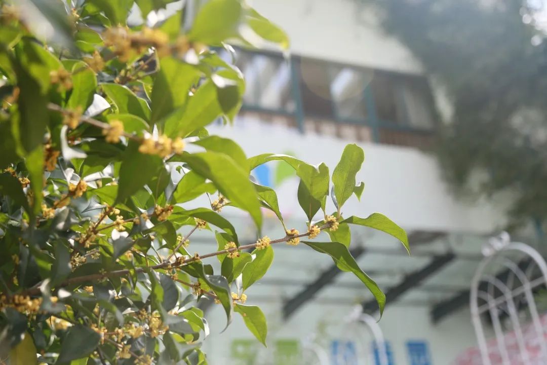 滨江多思创新学校,滨江学校全部排名