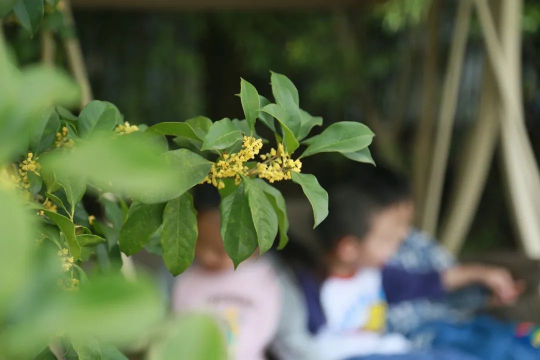 滨江多思创新学校,滨江学校全部排名