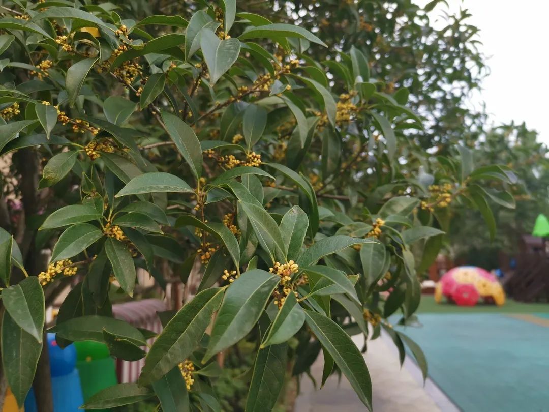 滨江多思创新学校,滨江学校全部排名