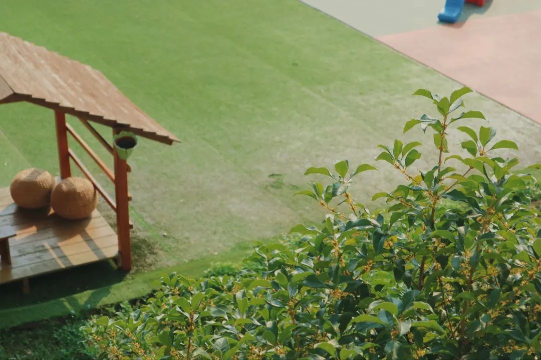 滨江多思创新学校,滨江学校全部排名