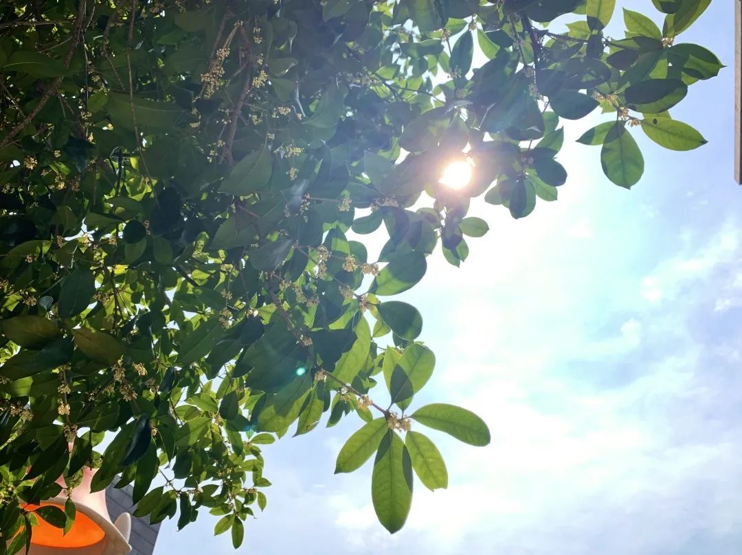 滨江多思创新学校,滨江学校全部排名