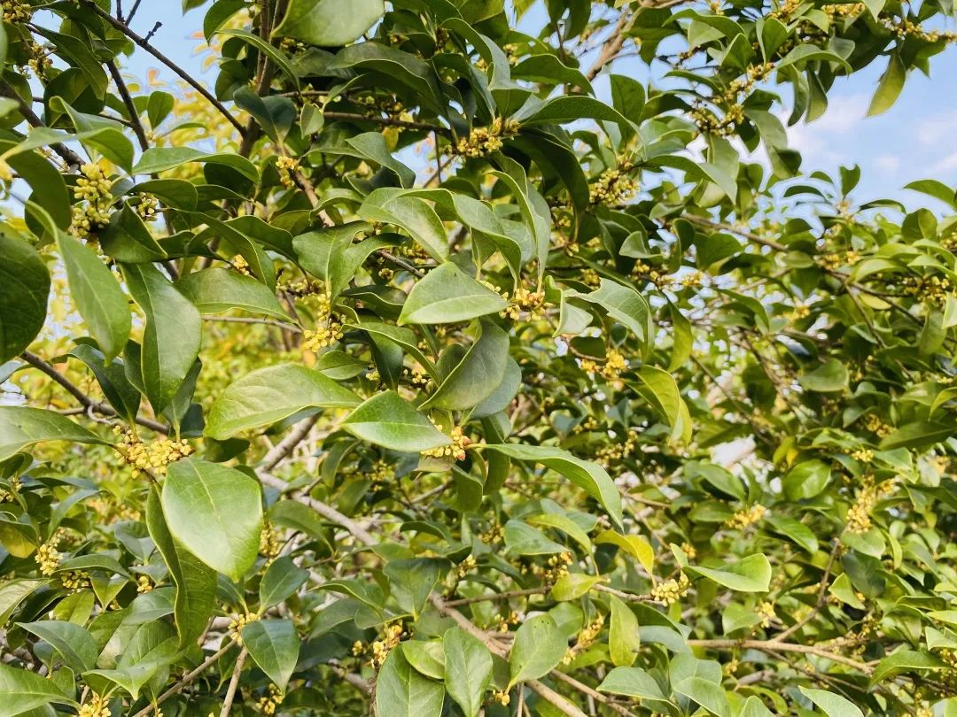 滨江多思创新学校,滨江学校全部排名