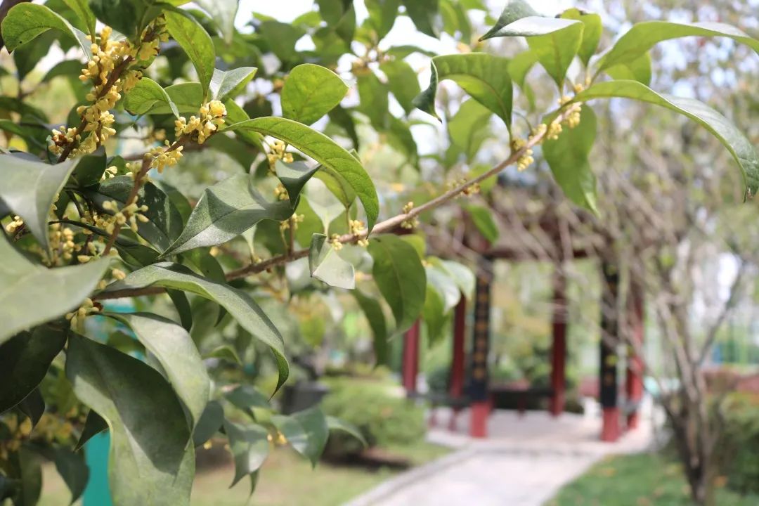 滨江多思创新学校,滨江学校全部排名