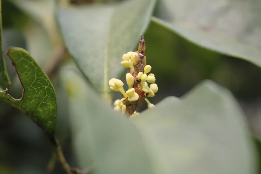 滨江多思创新学校,滨江学校全部排名