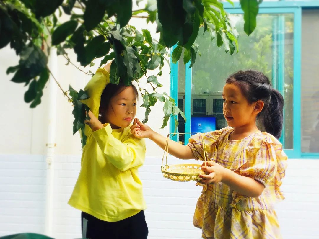 滨江多思创新学校,滨江学校全部排名