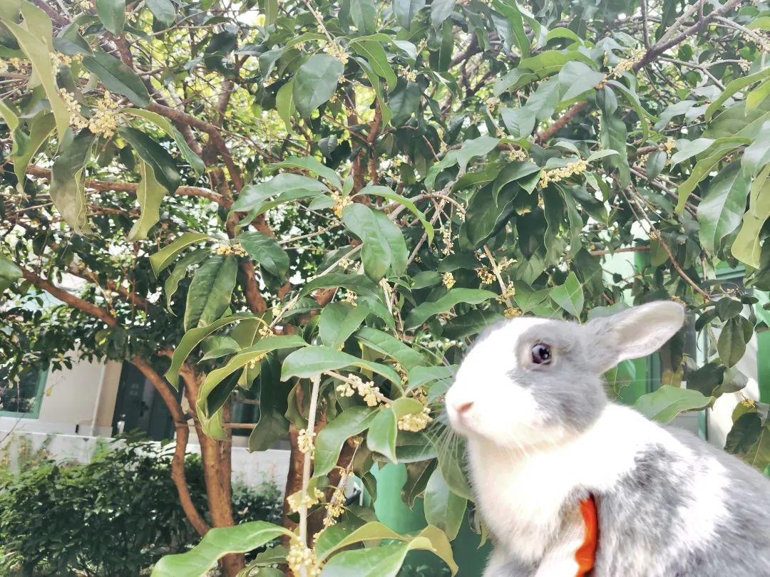 滨江多思创新学校,滨江学校全部排名