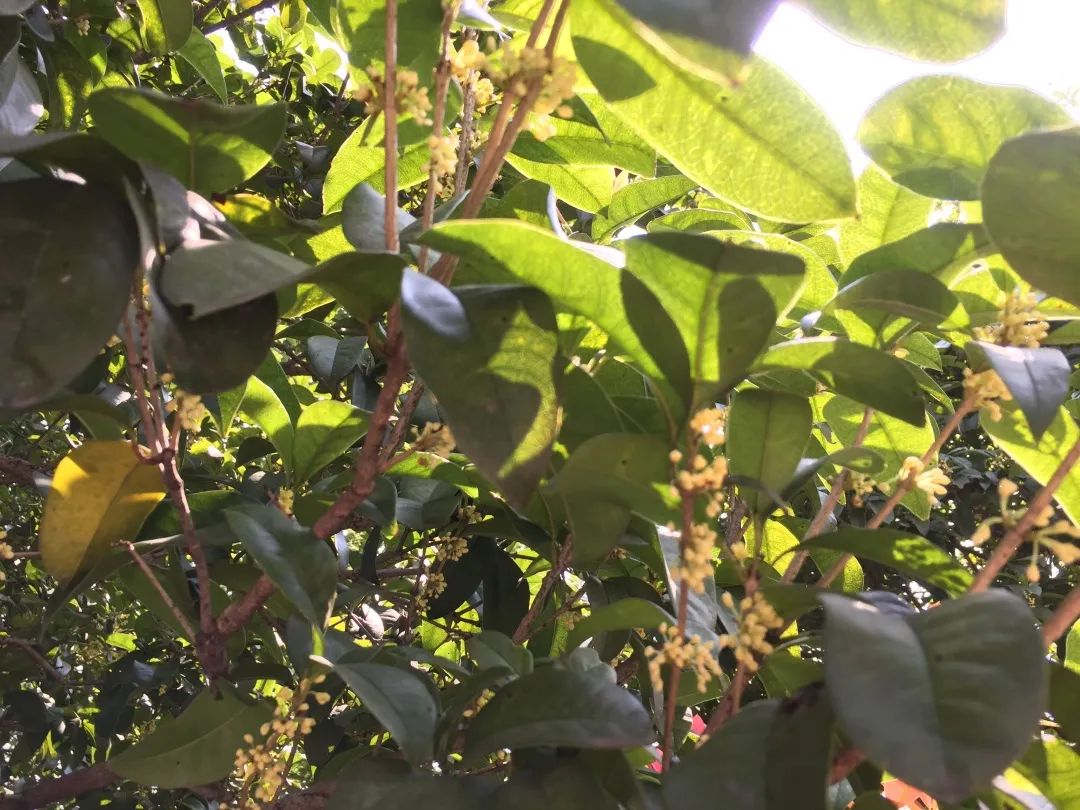 滨江多思创新学校,滨江学校全部排名