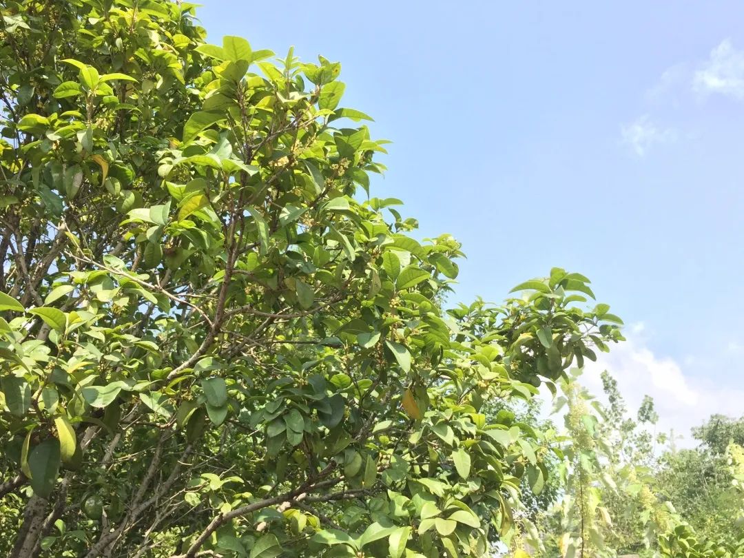 滨江多思创新学校,滨江学校全部排名