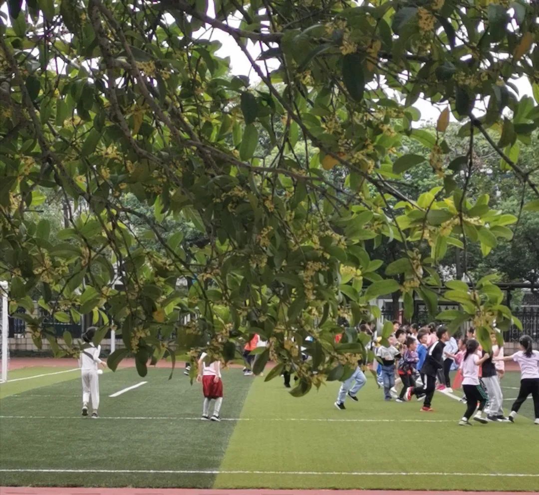 滨江多思创新学校,滨江学校全部排名