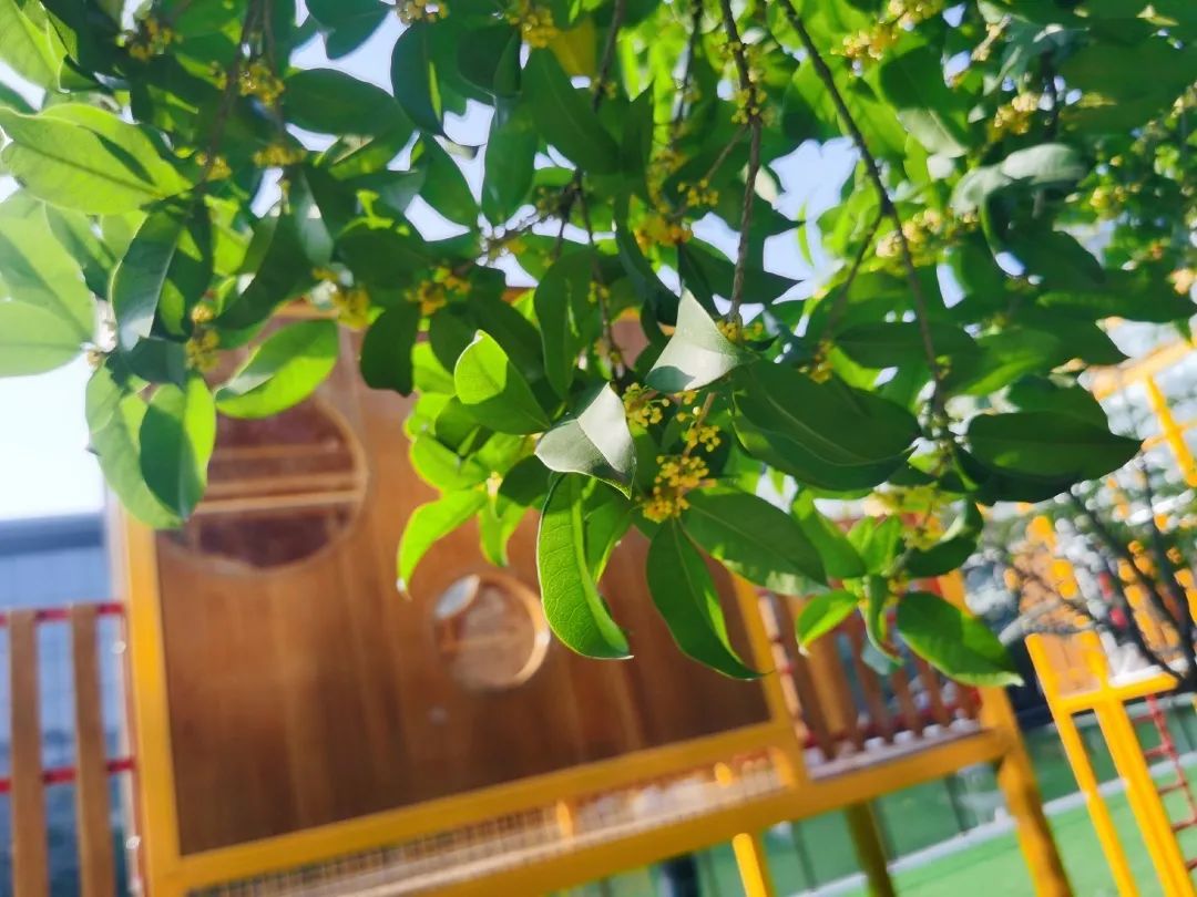 滨江多思创新学校,滨江学校全部排名