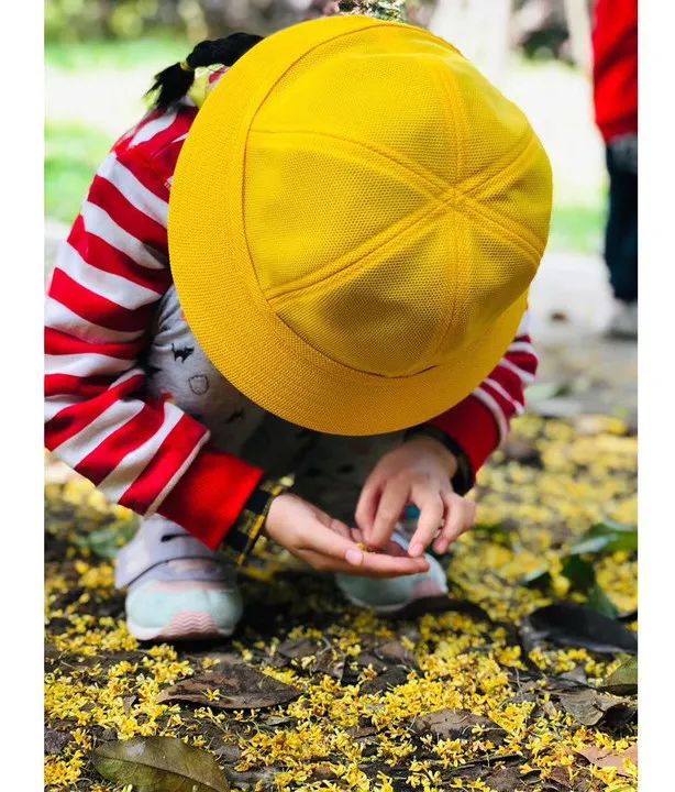 滨江多思创新学校,滨江学校全部排名