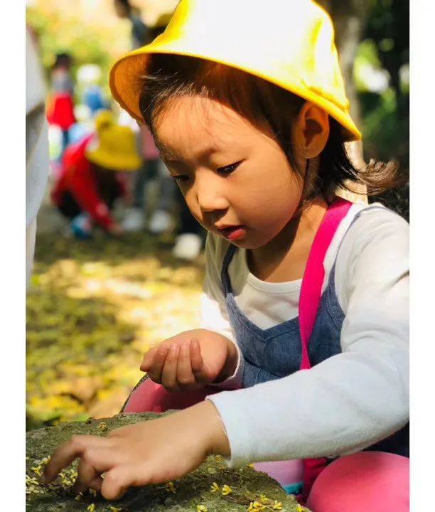 滨江多思创新学校,滨江学校全部排名