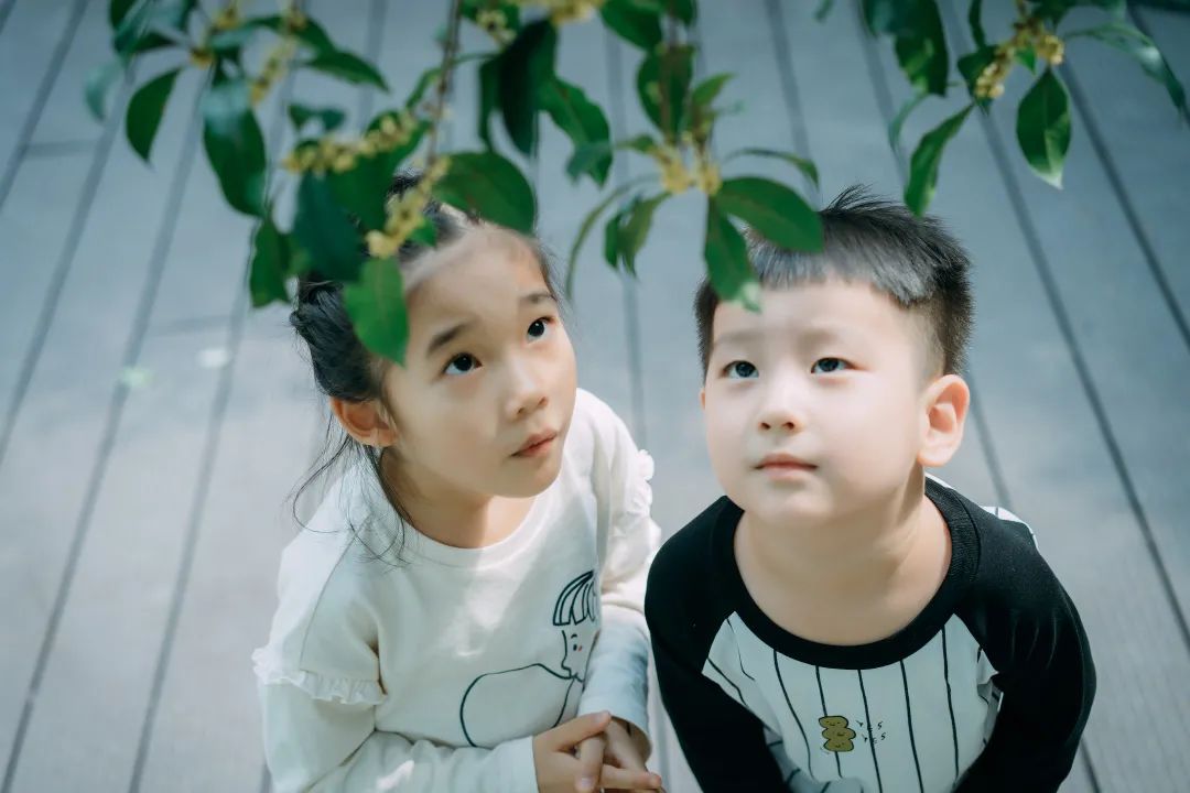 滨江多思创新学校,滨江学校全部排名