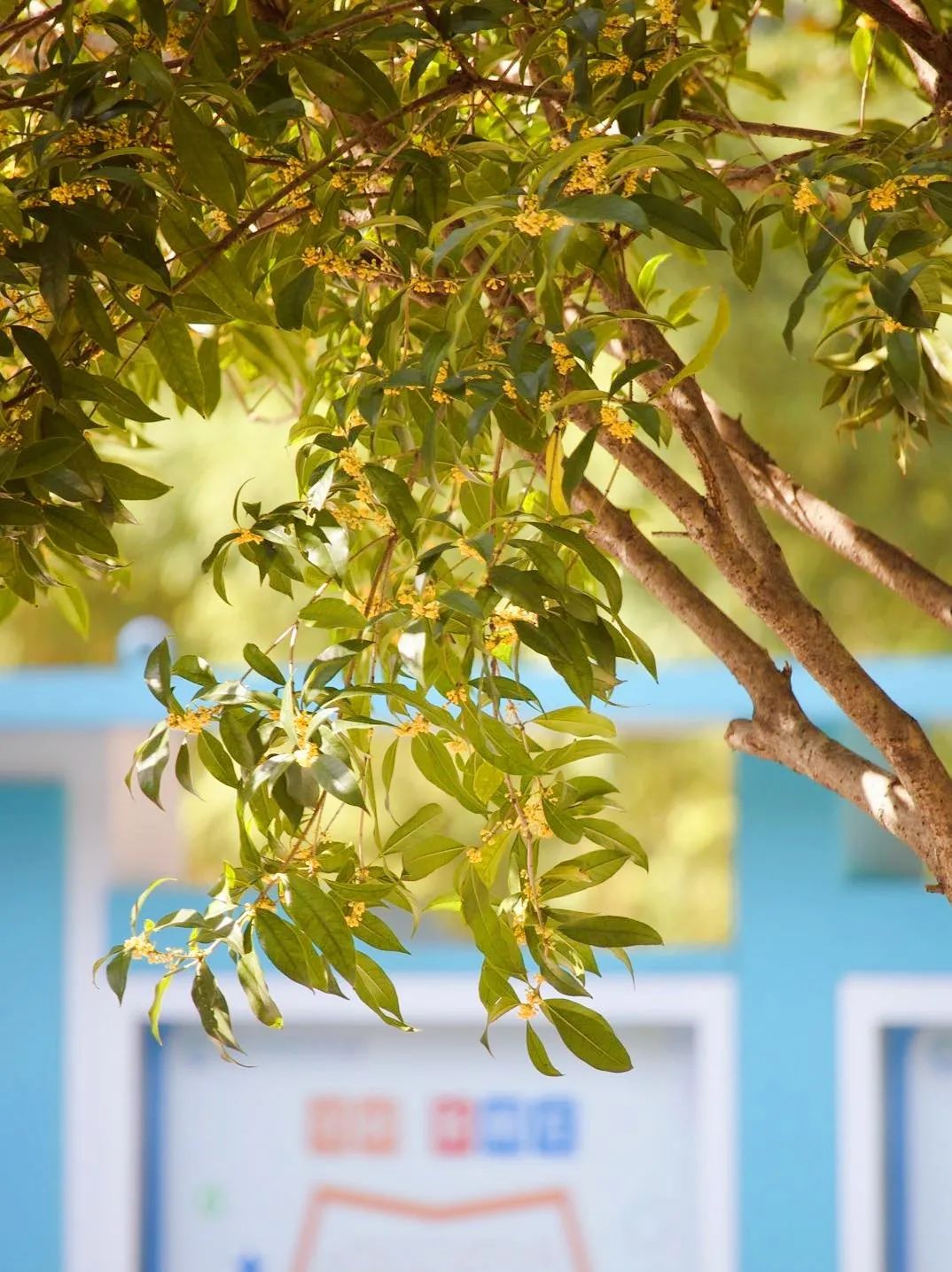 滨江多思创新学校,滨江学校全部排名