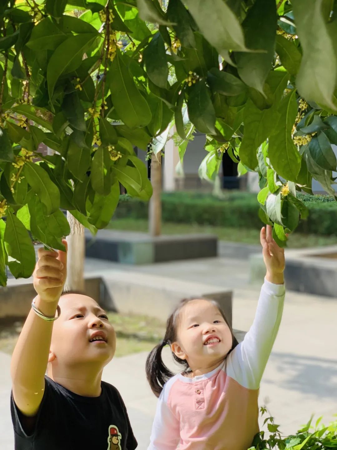 滨江多思创新学校,滨江学校全部排名