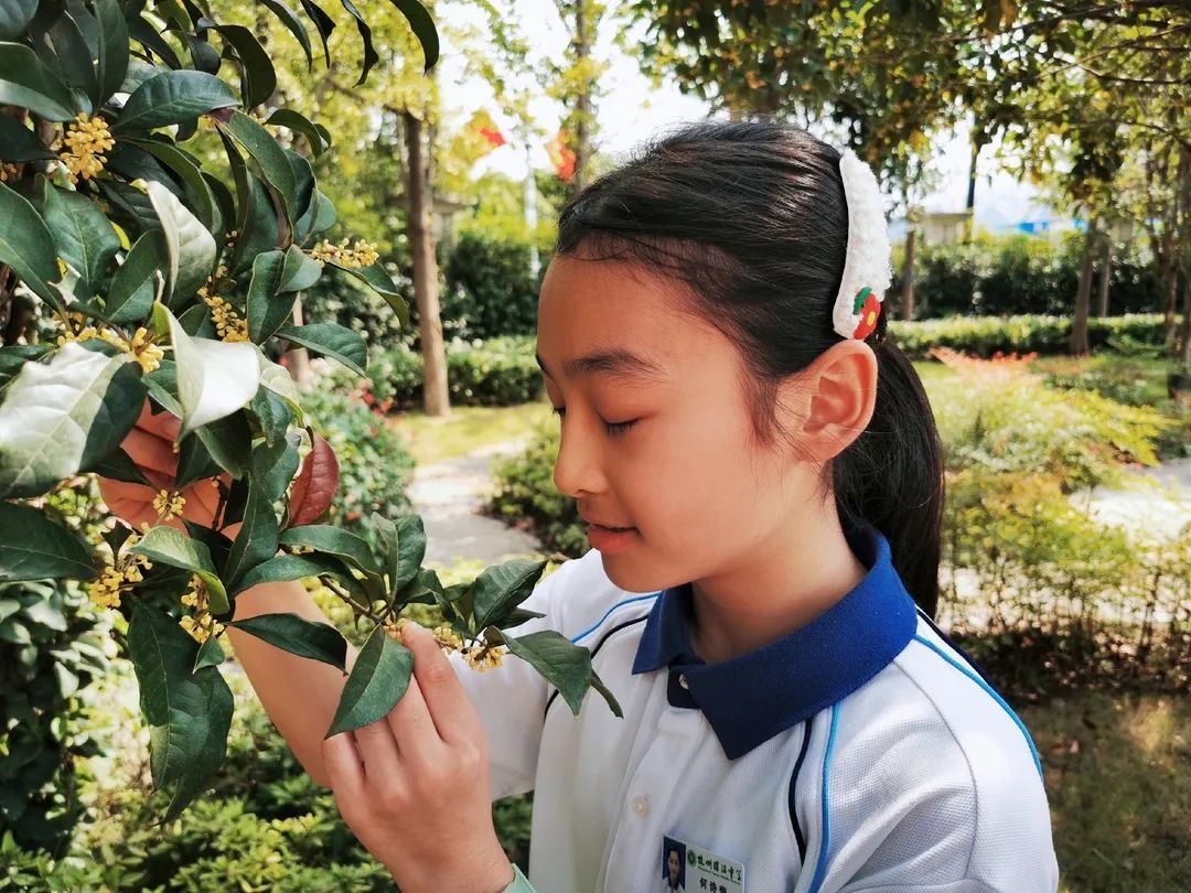 滨江多思创新学校,滨江学校全部排名