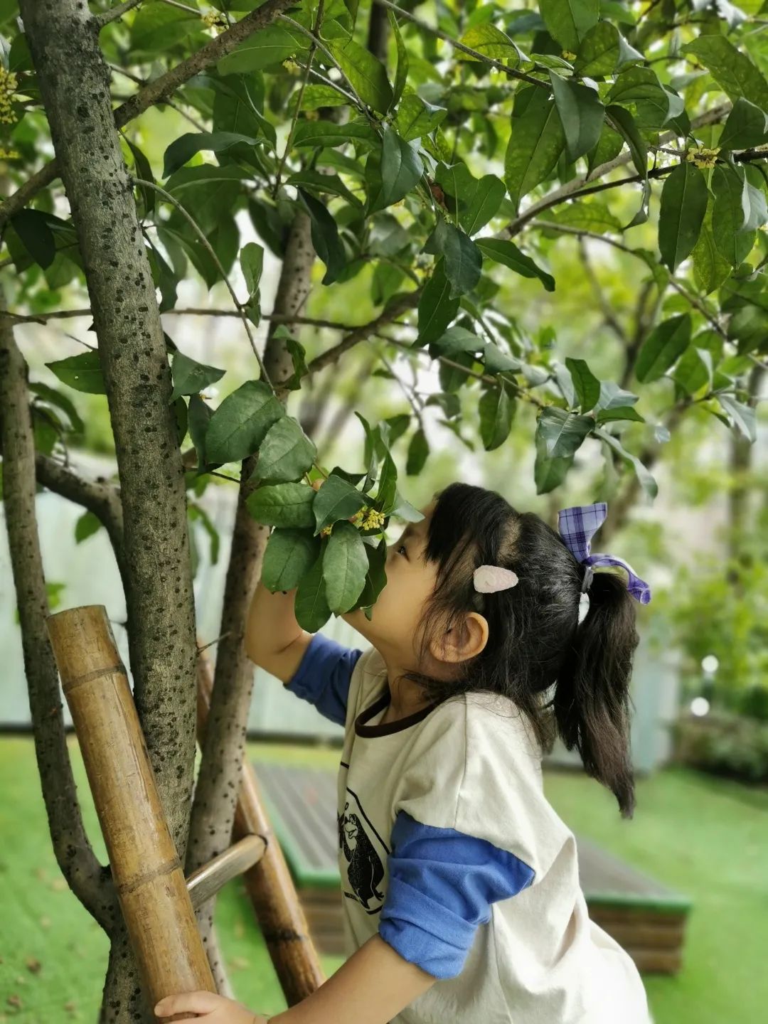 滨江多思创新学校,滨江学校全部排名