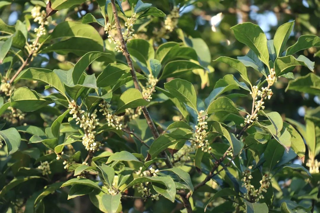 滨江多思创新学校,滨江学校全部排名