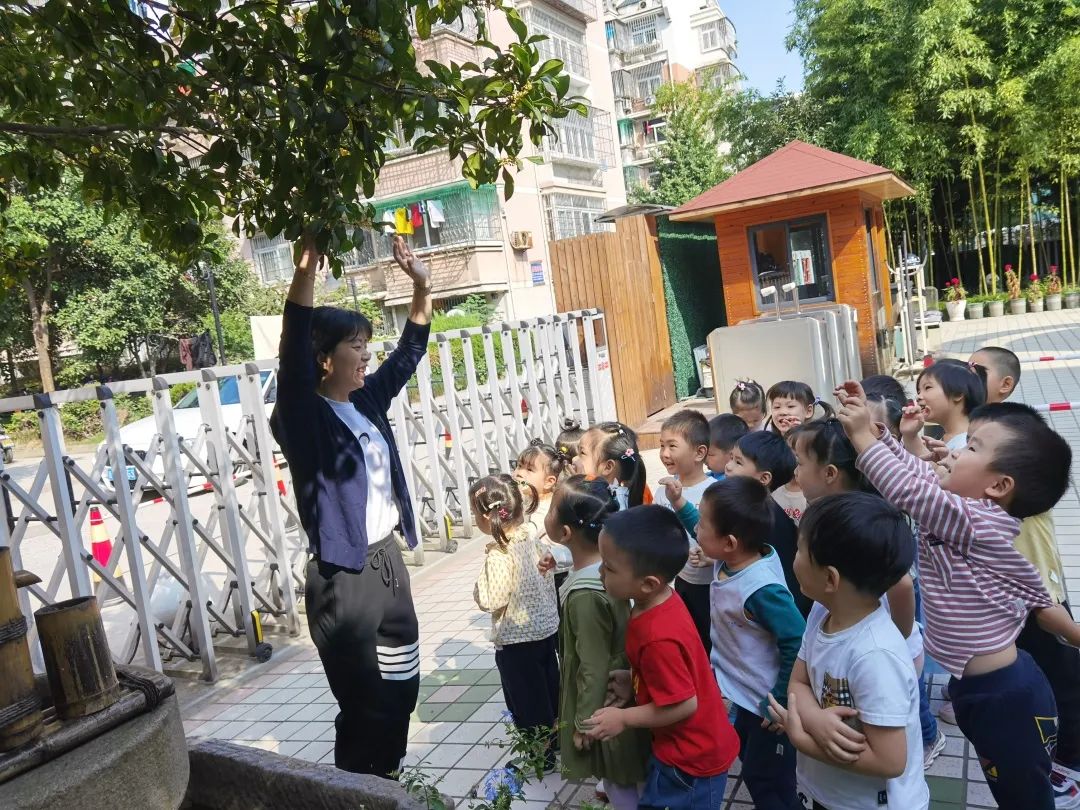 滨江多思创新学校,滨江学校全部排名