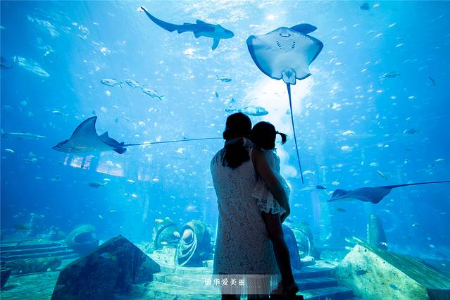 三亚亲子游攻略3-6岁最佳方案,三亚亲子游吃什么