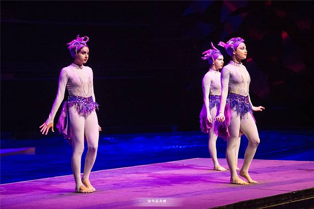 三亚亲子游攻略3-6岁最佳方案,三亚亲子游吃什么