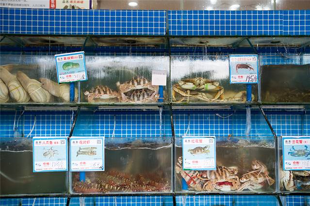 三亚亲子游攻略3-6岁最佳方案,三亚亲子游吃什么