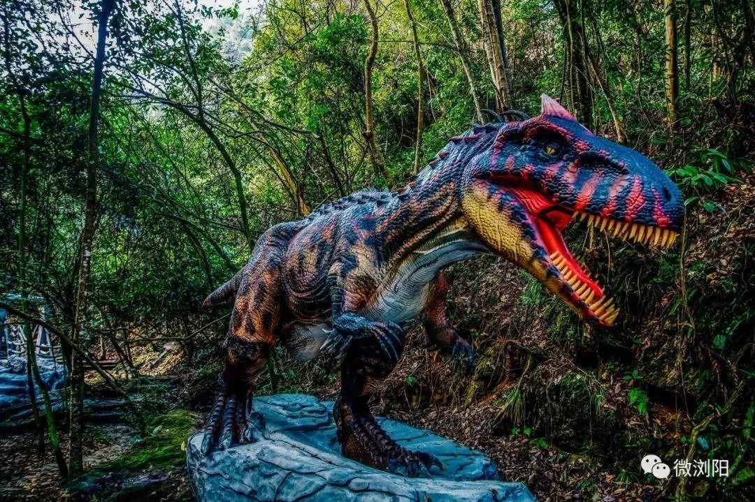 长沙旅游攻略必玩必吃项目,十一长沙周边旅游攻略