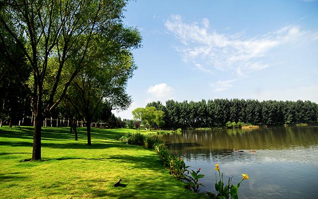 这里的国庆人不挤，车不堵，景色美，还有“会发光的兔子”……