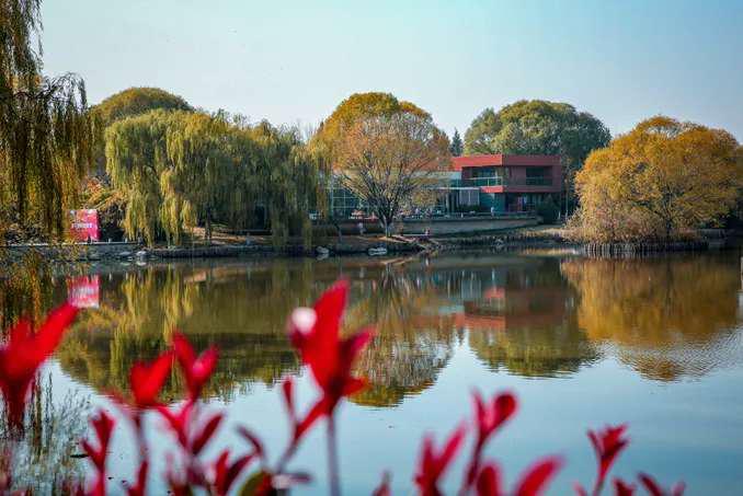 这里的国庆人不挤，车不堵，景色美，还有“会发光的兔子”……