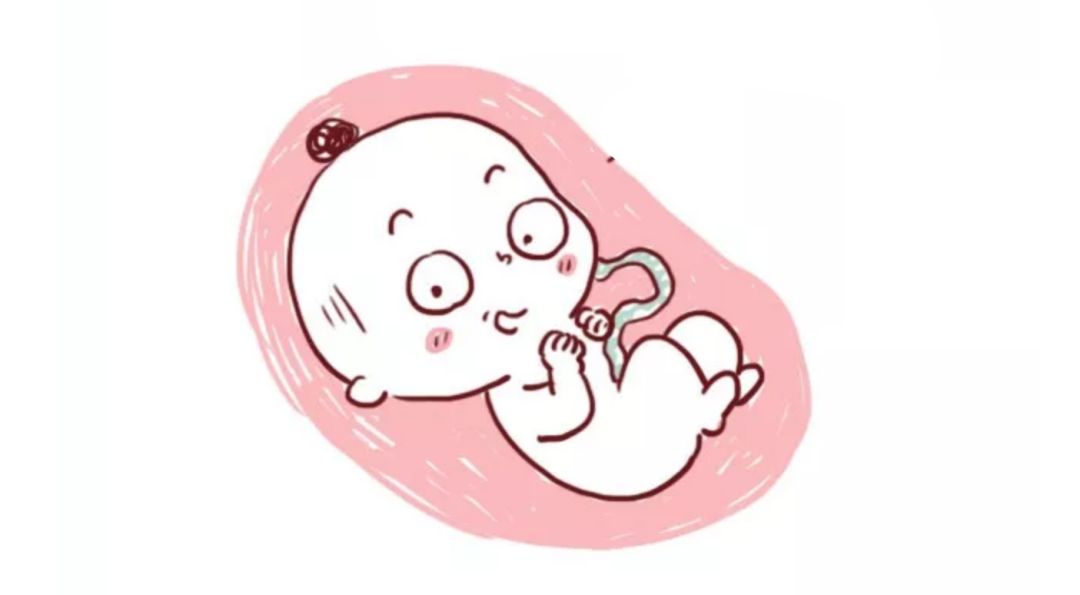 关于羊水的所有干货，一篇给你讲清楚