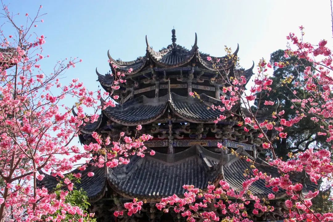 四川邛海旅游攻略必去景点,邛海泸山一日游先去哪里