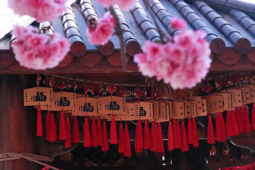 四川邛海旅游攻略必去景点,邛海泸山一日游先去哪里