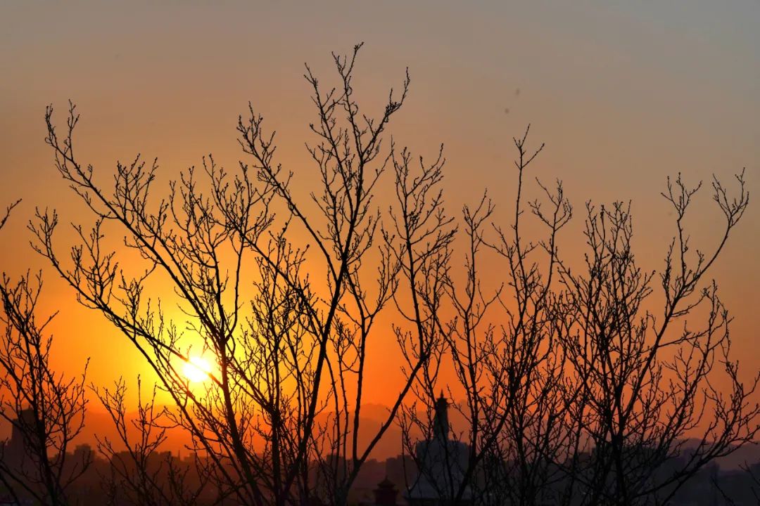 一次“生物-心理-社会”联合咨询的探索||渡过