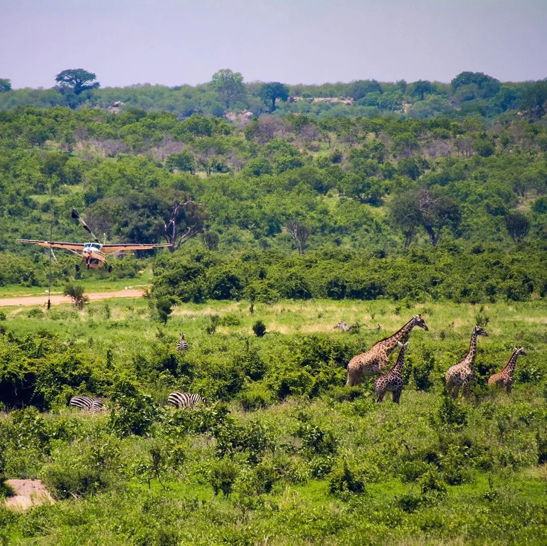 机场值机可以选靠窗的座位吗,早点去机场可以选择喜欢的座位么