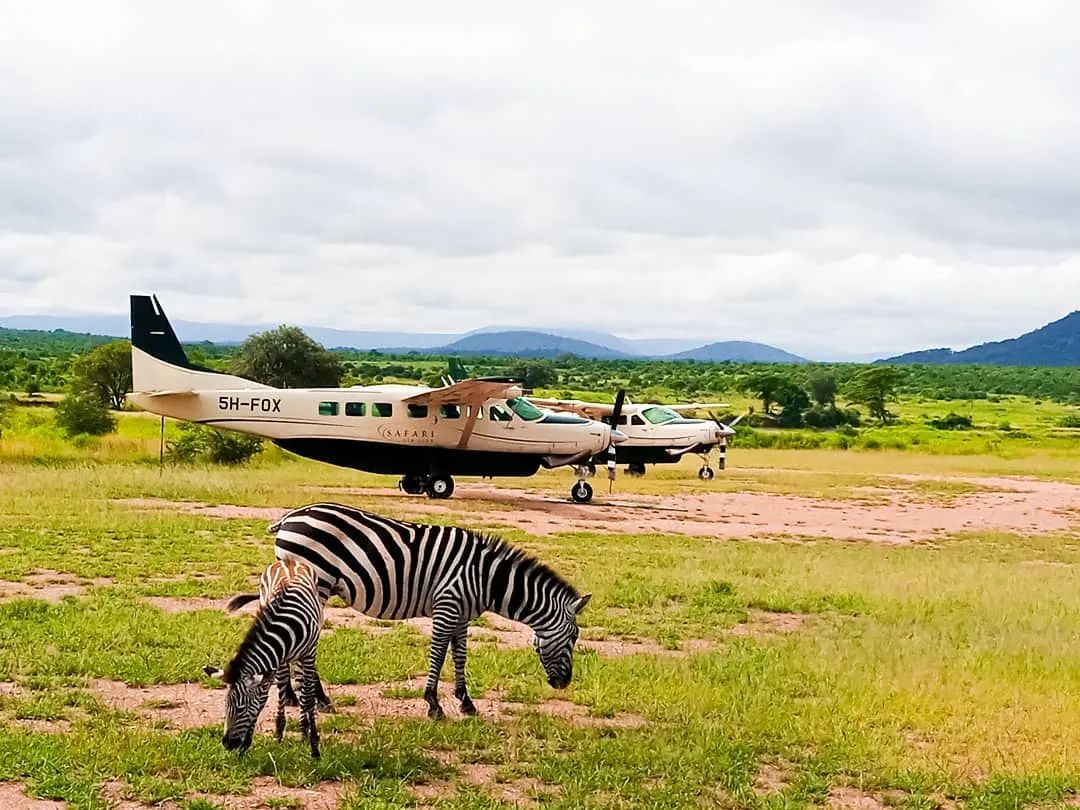 机场值机可以选靠窗的座位吗,早点去机场可以选择喜欢的座位么