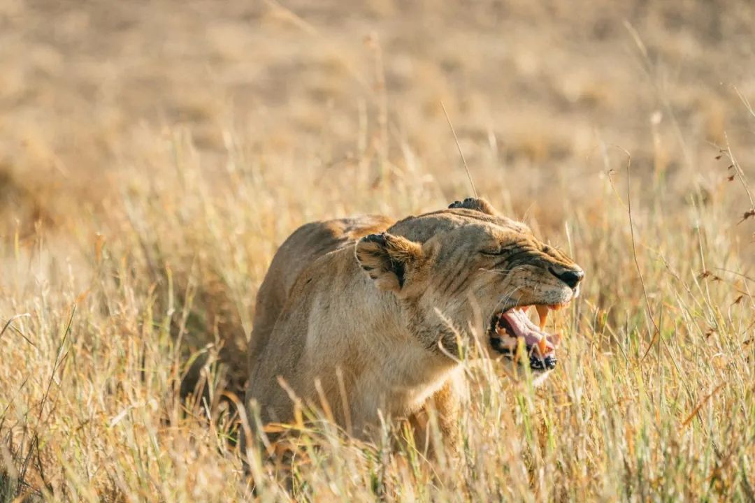 机场值机可以选靠窗的座位吗,早点去机场可以选择喜欢的座位么