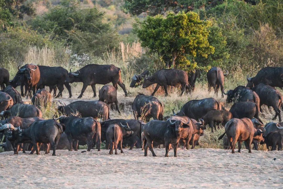 机场值机可以选靠窗的座位吗,早点去机场可以选择喜欢的座位么